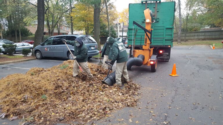 Affordable Leaf Removal Options in Your Neighborhood