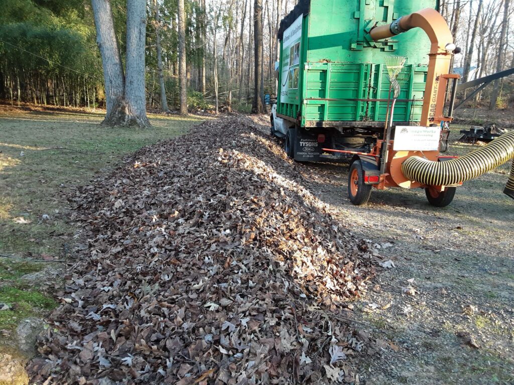 Professional leaf removal equipment