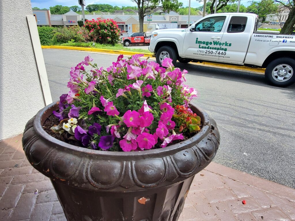 Commercial Landscaping