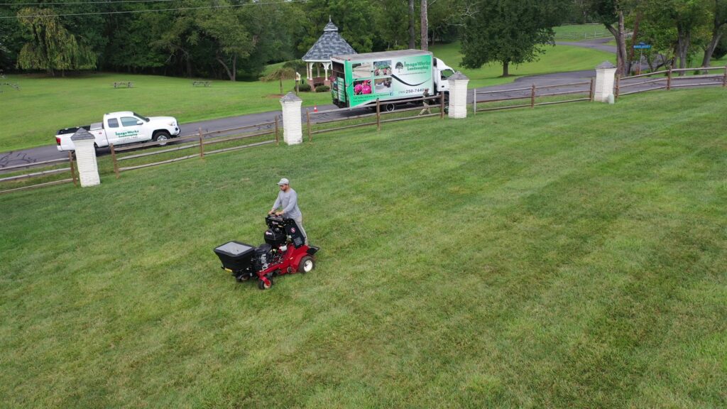 Lawn Aeration