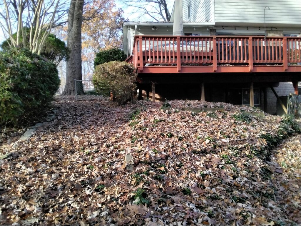 leaf_vacuum_truck