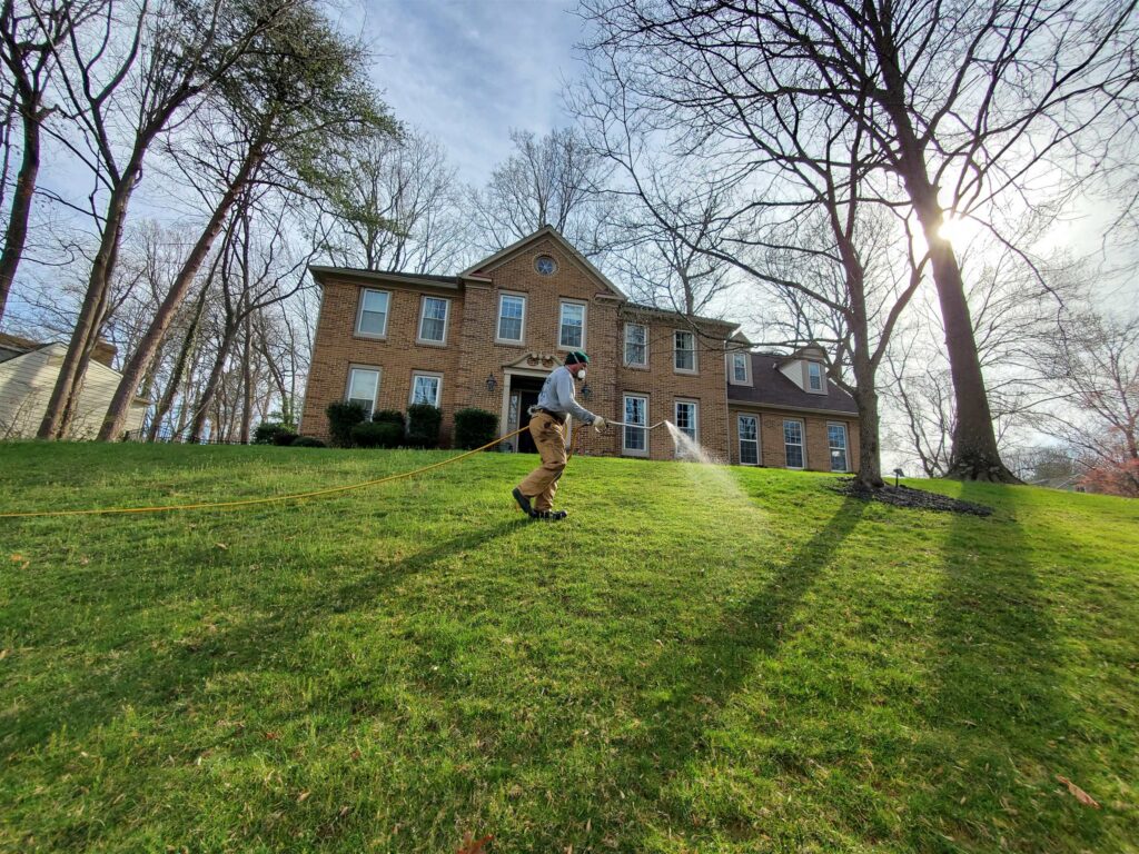 Lush green lawn with liquid fertilizer application