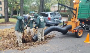 Step-by-step leaf removal process with advanced tools