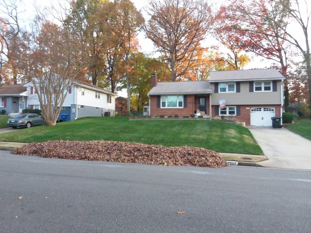 Essential Tips for Efficient Fall Leaf Cleanup