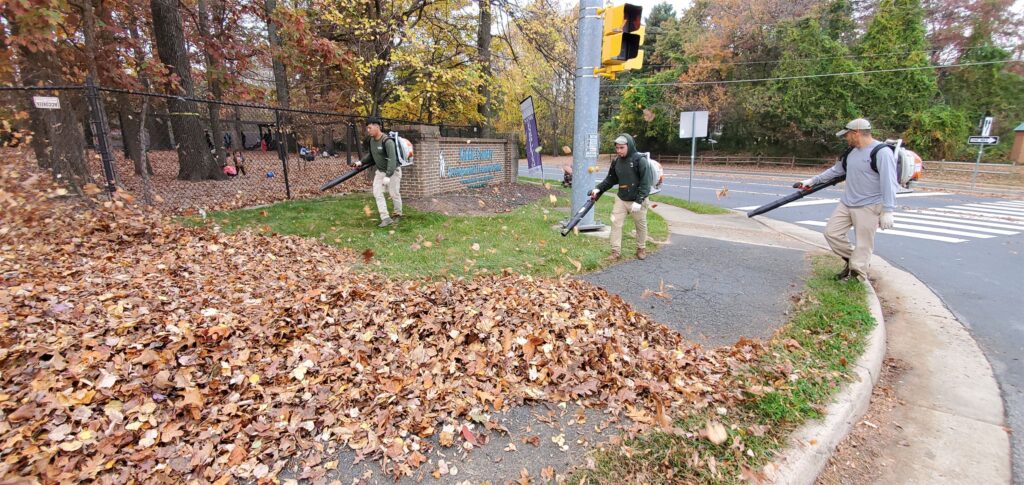 Leaf removal services in action across Northern Virginia