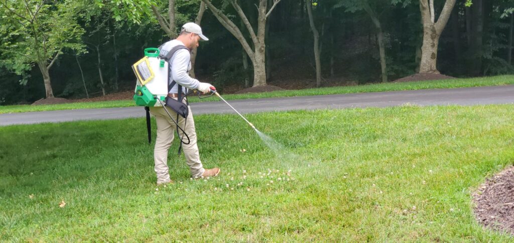 How to Choose Liquid Lawn Fertilizer