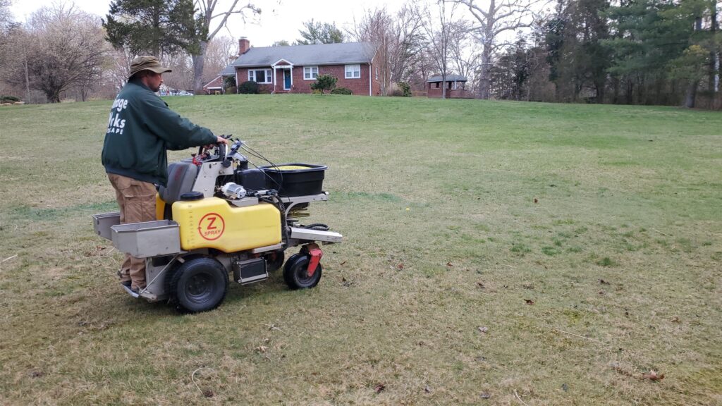How to Control Weeds on Driveways Walkways and Patios