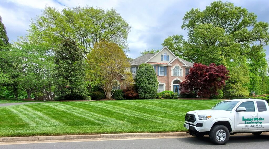 Ideal Watering Schedule for Lush Grass