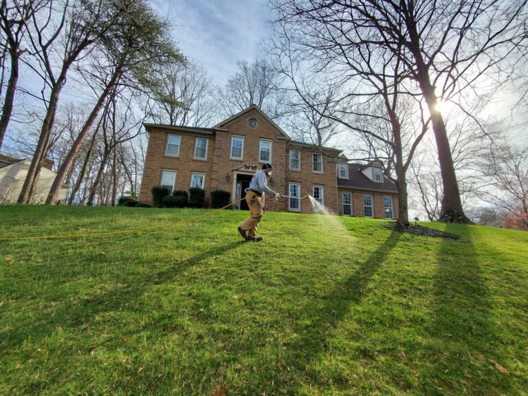 Liquid vs. Granular Lawn Fertilizers Explained