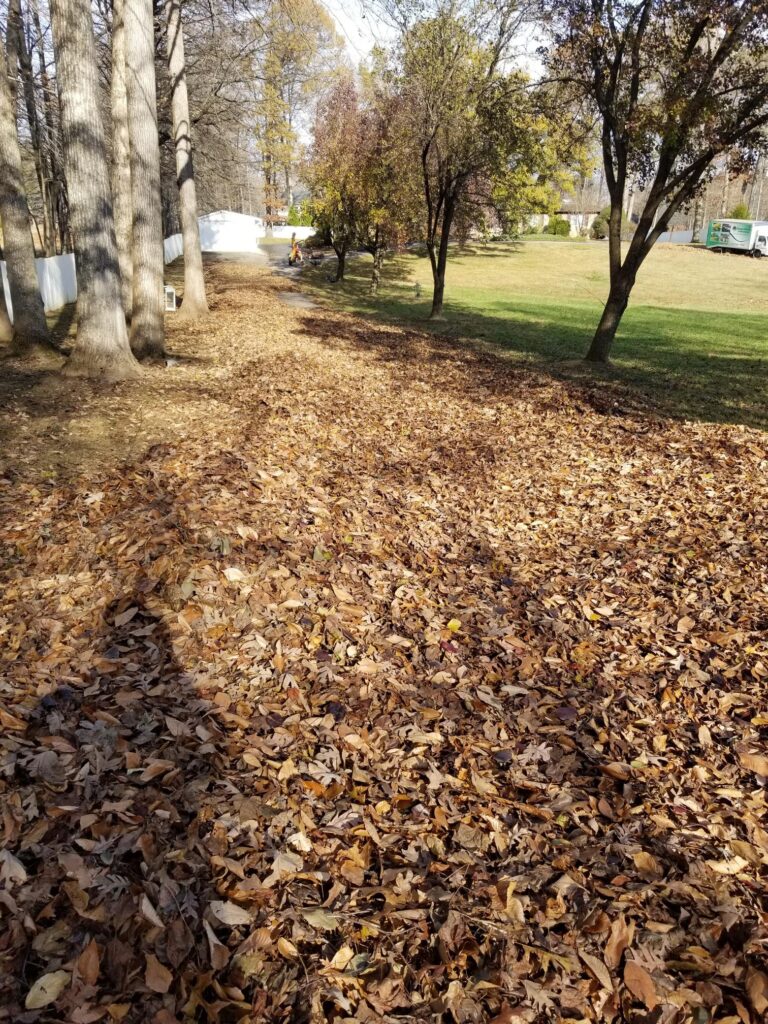 Leaf blower in action