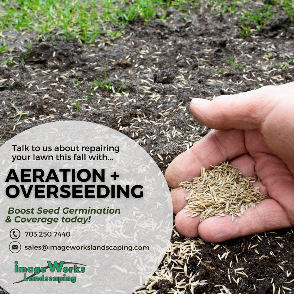 Lawn aeration process
