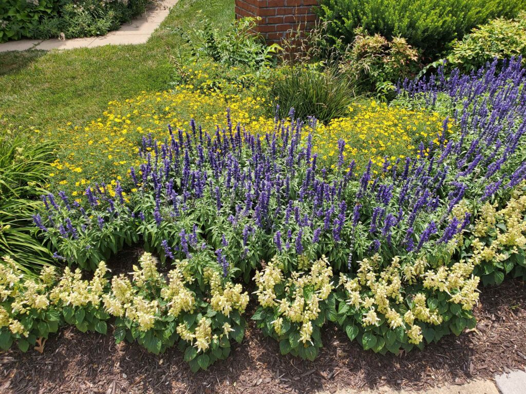 A gardener weeding a flower bed