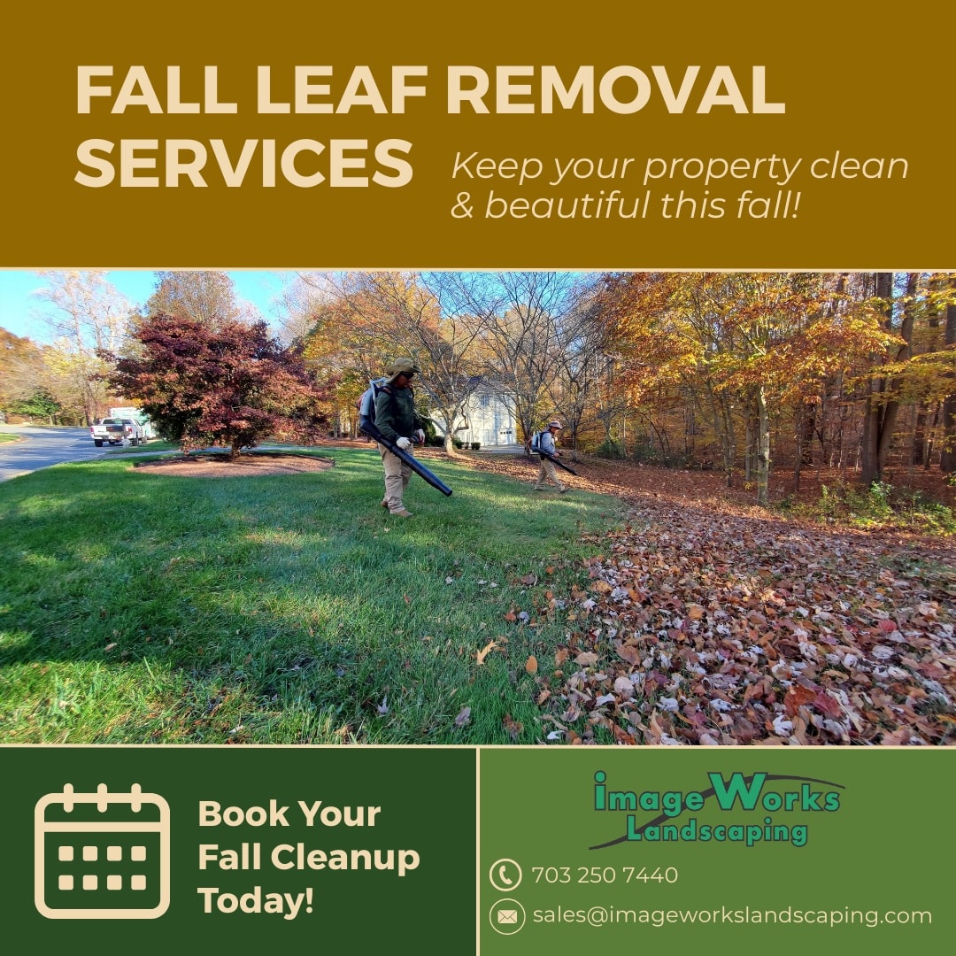 Fall Leaf Removal Services