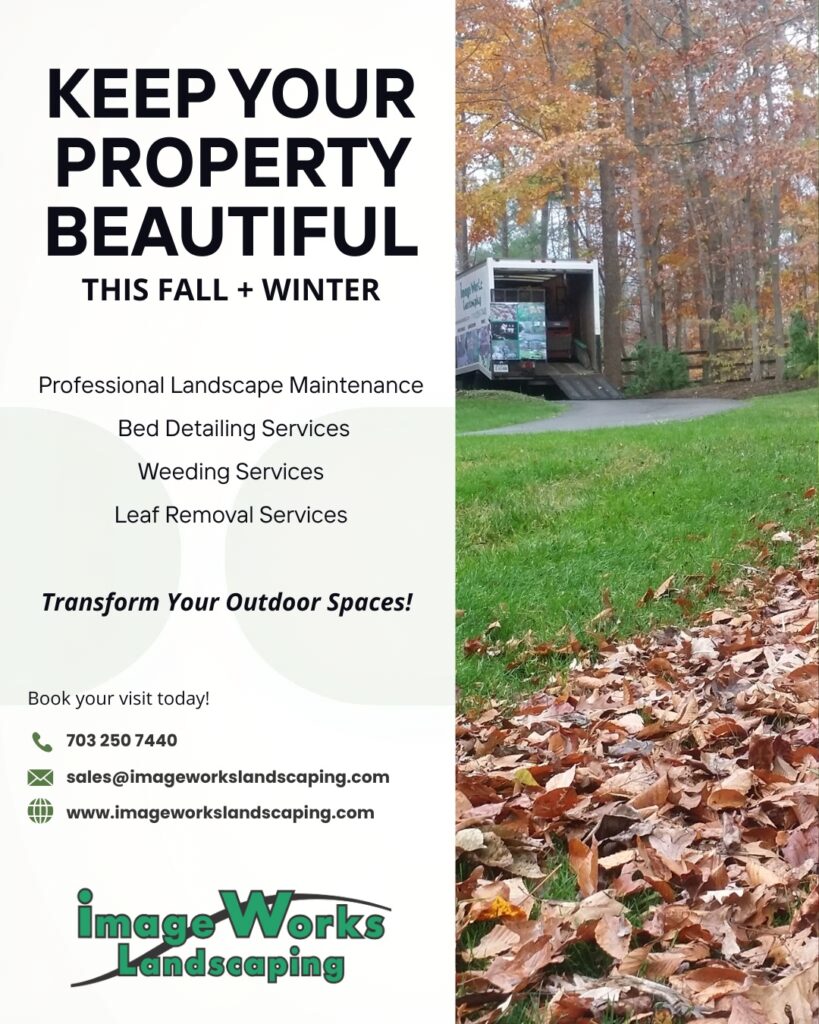 Fall Leaf Removal Services