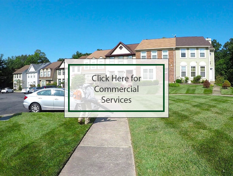 Commercial Landscaping Services