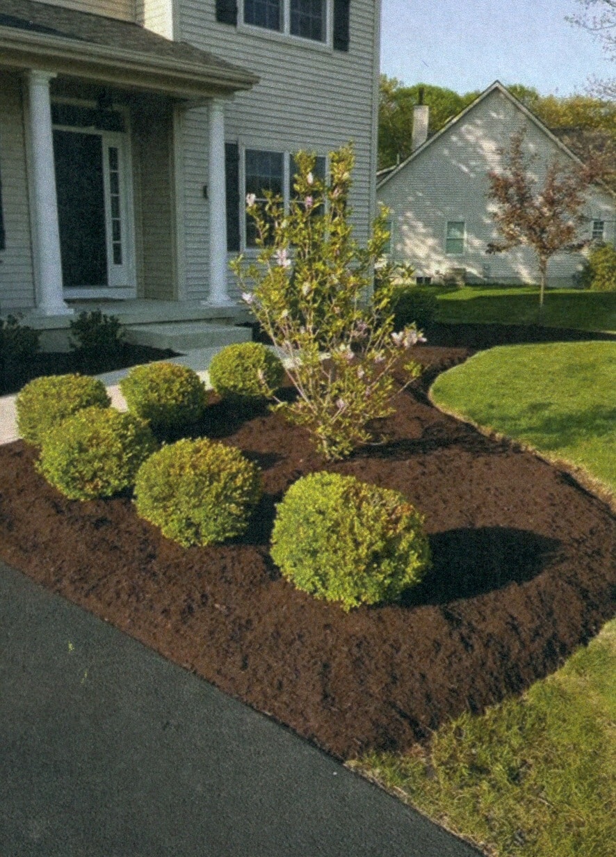 Local gardening in Virginia