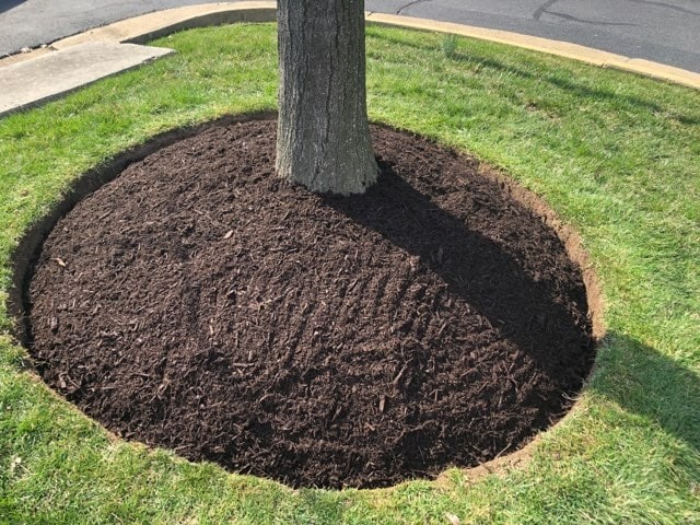 Professional landscaping service at work
