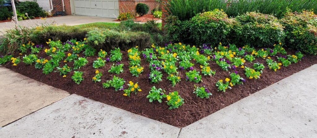Spring Mulching
