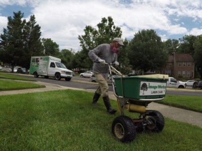 Lawn Care Lawn Care