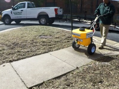 Snow Removal